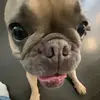 g.g.w.p.f.u.2