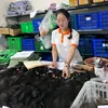 julia_tinhair.factoryvn