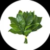 goc.nho.cua.lusi