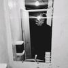 alondra_g095