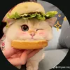 xin.thua12