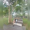 abet_zaylani