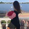 user5095090904943