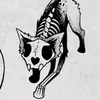 dalu_skelleton
