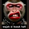 chand.ler13