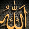 mostafa9819
