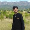 ajmalali7008