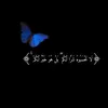 zfy__25