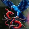 idrishannan5060704444