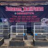 intaran_balifarm
