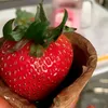 dailystoreee02
