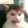 denis_nelson01