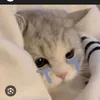 thanh_thanh662
