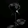 walyson.gxz7