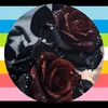 rosesyndicate