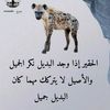 user2238165292146