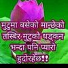 anishathapa984