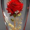 user9155179800059