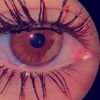 faten.faten793