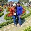 vn.di4