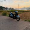 rexsblue_21