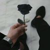 amjad29681