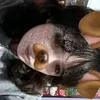 jaz00uu