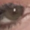 anlina258