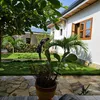 hotel.eyram