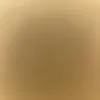 leah_n3010