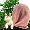 brithi78