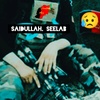 Saidullah Seelab