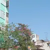 dnghu4191