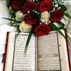 user853011717254