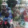 amaro.mafra