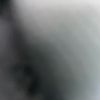 natalies6686