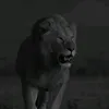 gant78_