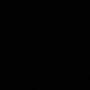 ds.ri21
