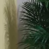 zwquser