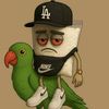 emanuel.gonzalez2583