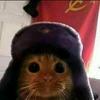 gato.sovietico77