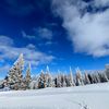 alisha_co