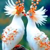 megla.akash6275
