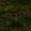 _khongbitgihet11