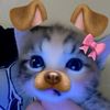 lilyy_anaa