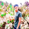 user868441431