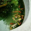 ngoctrieulam91