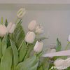 swety_flower