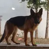 _lefteris_karagiannis_