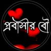 user6081085602412